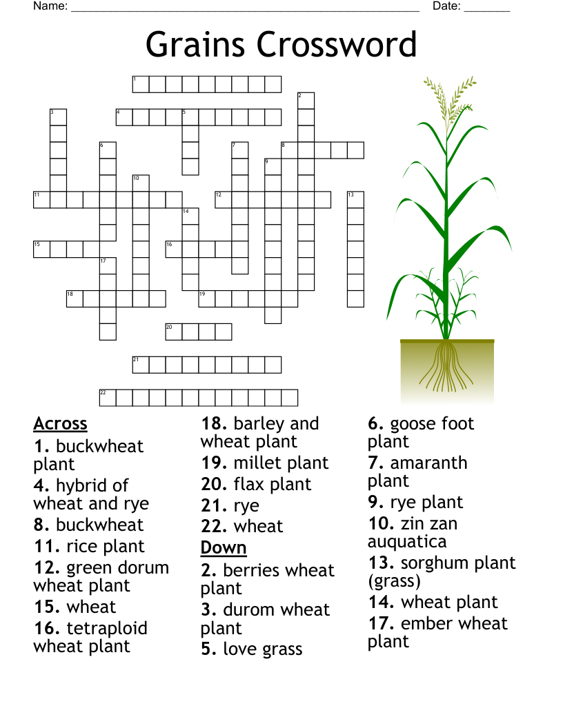 Plant Incredible In A Bloom NYT Crossword