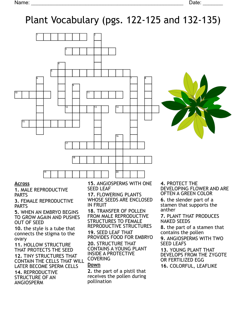 PLANTS Crossword WordMint