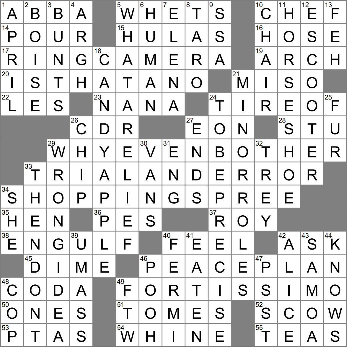 Porch Pirate Deterrent Hopefully Crossword Clue Archives LAXCrossword