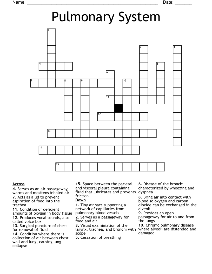 Pulmonary System Crossword WordMint
