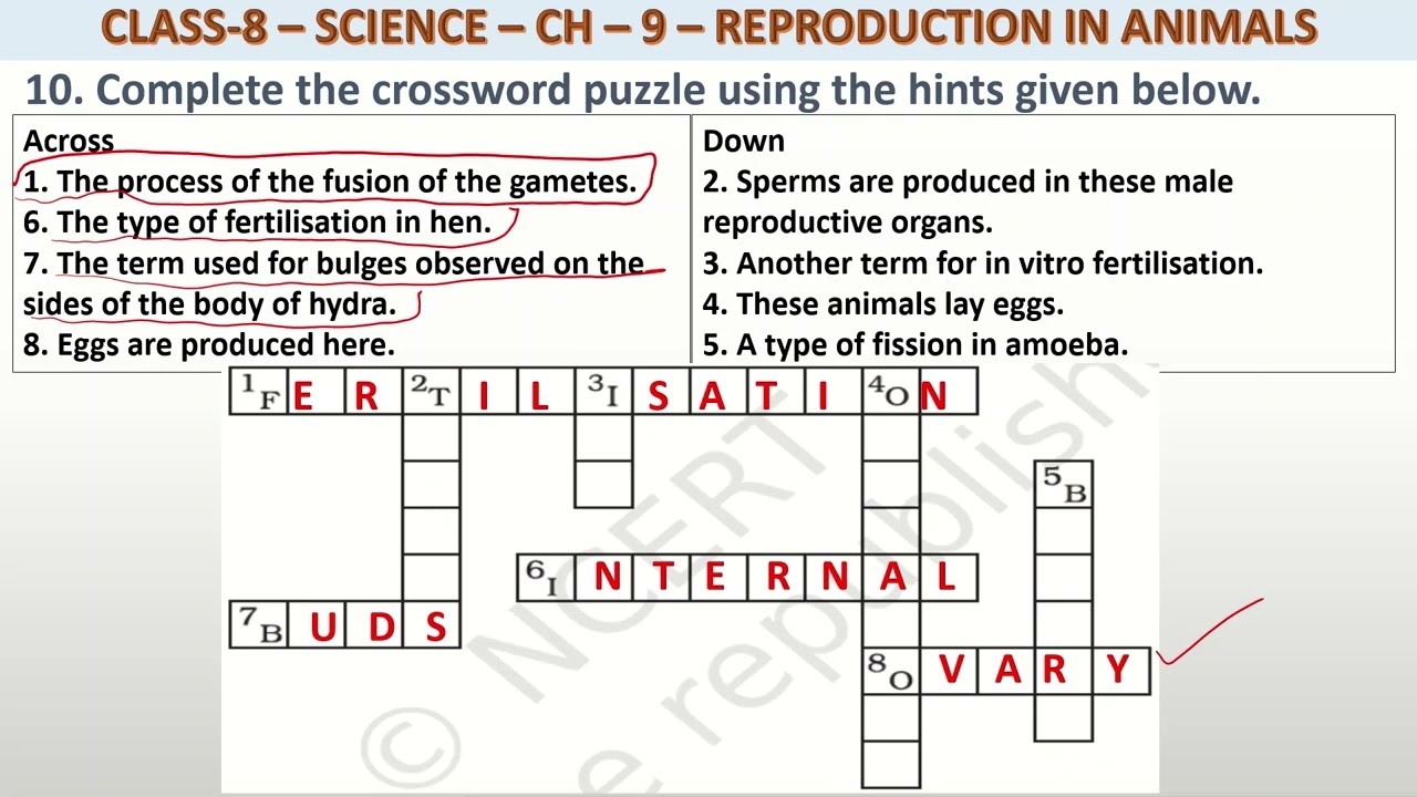 Q 10 Class 8 Science Ch 9 Question 10 YouTube
