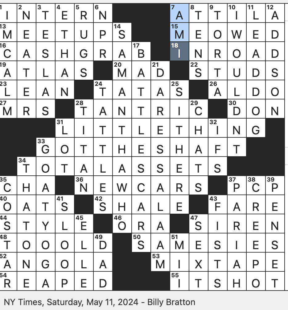 Rex Parker Does The NYT Crossword Puzzle 2000s Sitcom About A Woman With Amnesia SAT 5 11 24 Environmental Writer Leopold Ring shaped Bone That Supports The Skull Meal Makeup 