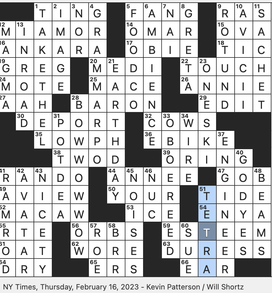 Rex Parker Does The NYT Crossword Puzzle Accept Defeat In Modern Parlance THU 2 16 23 Sketchy Stranger In Slang Turkish City That Lends Its Name To A Species Of Rabbit