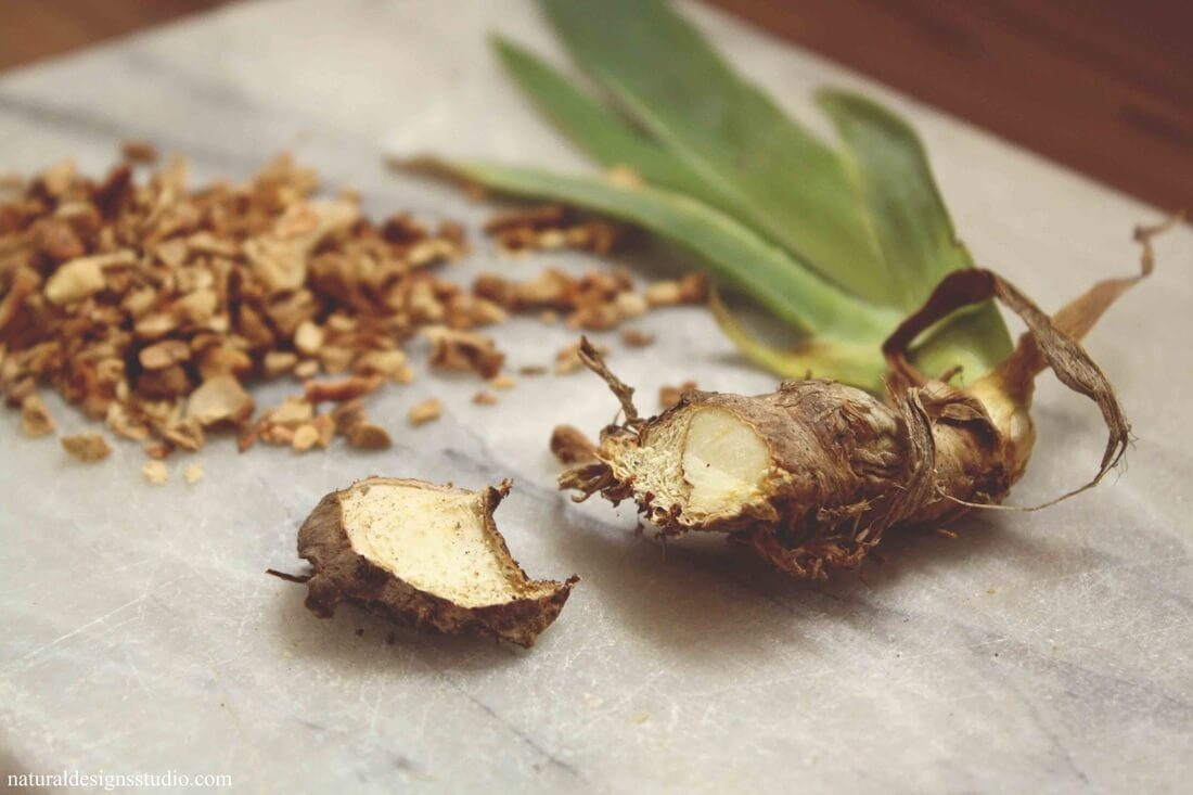 Rex Parker Does The NYT Crossword Puzzle Intervening At Law SAT 8 19 17 Method Of Fishing Some Fruit Pastries Feature Of Namibia And Libya Root Used In Perfumery