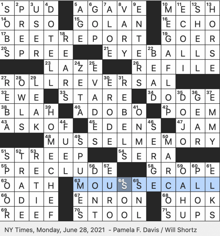 Rex Parker Does The NYT Crossword Puzzle Mexican Marinade Made With Chili Pepper MON 6 28 21 Popular Meal Kit Company Or Mother Of The Food Critic Featured In This Puzzle