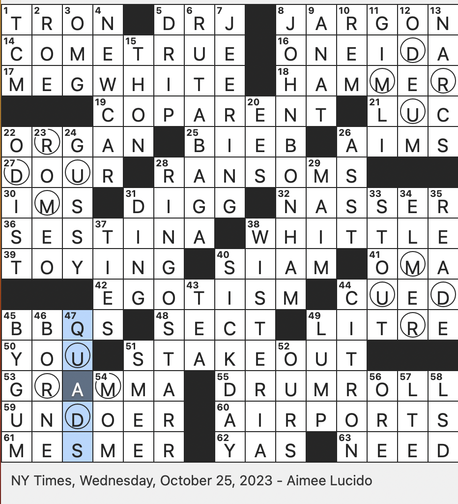 spanish term of endearment nyt crossword