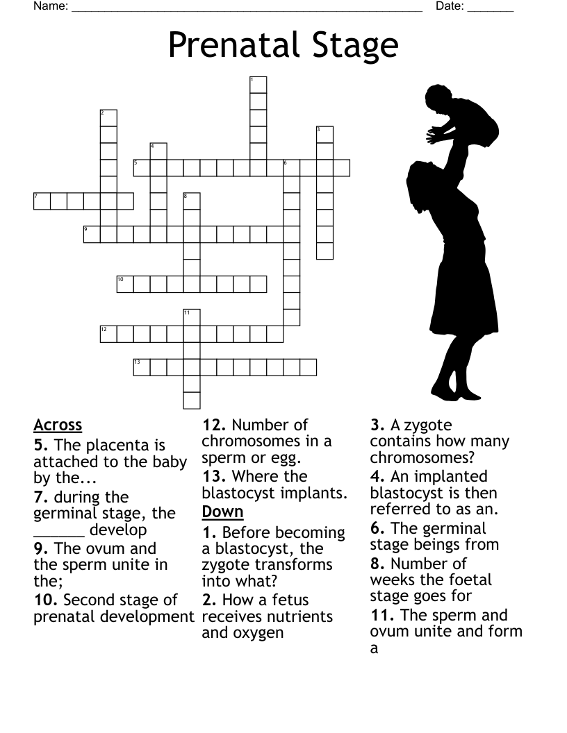 Sammy s Crossword WordMint