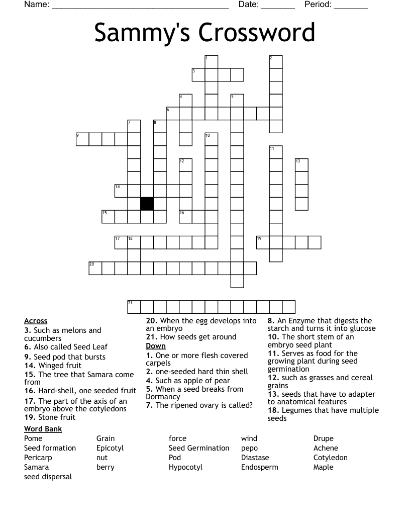 Sammy s Crossword WordMint