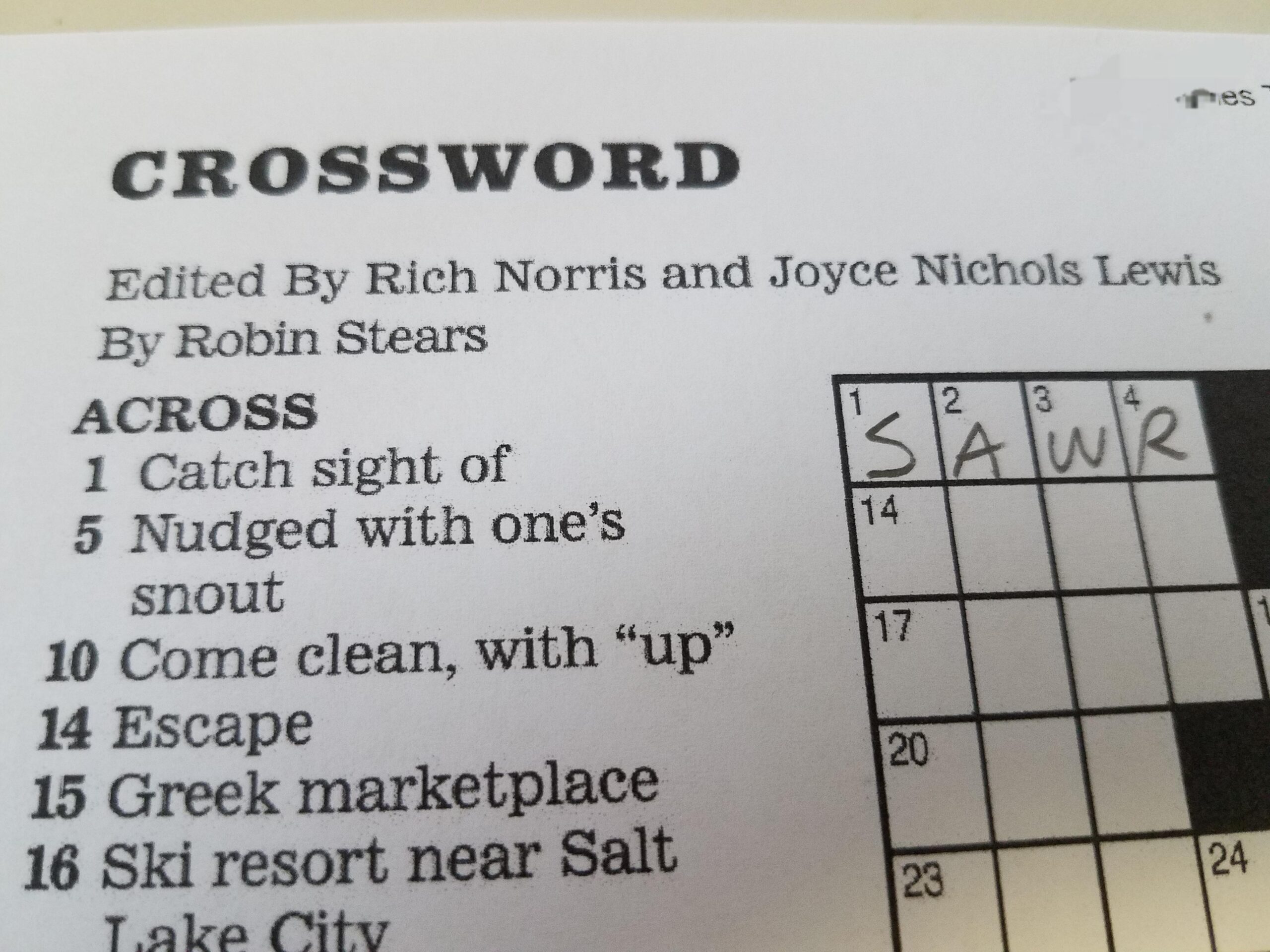 Seaside Resort Crossword Clue