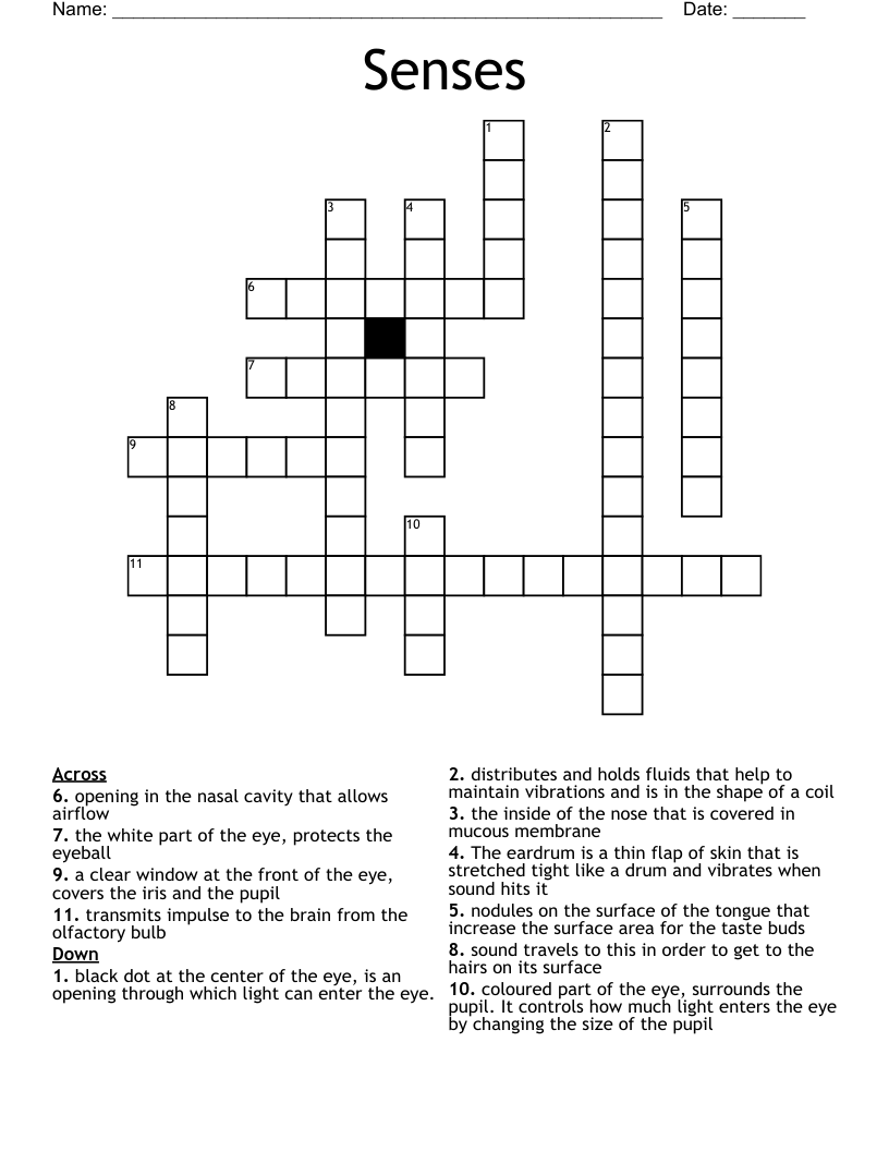 Sense Of Self Crossword Clue 3 Letters