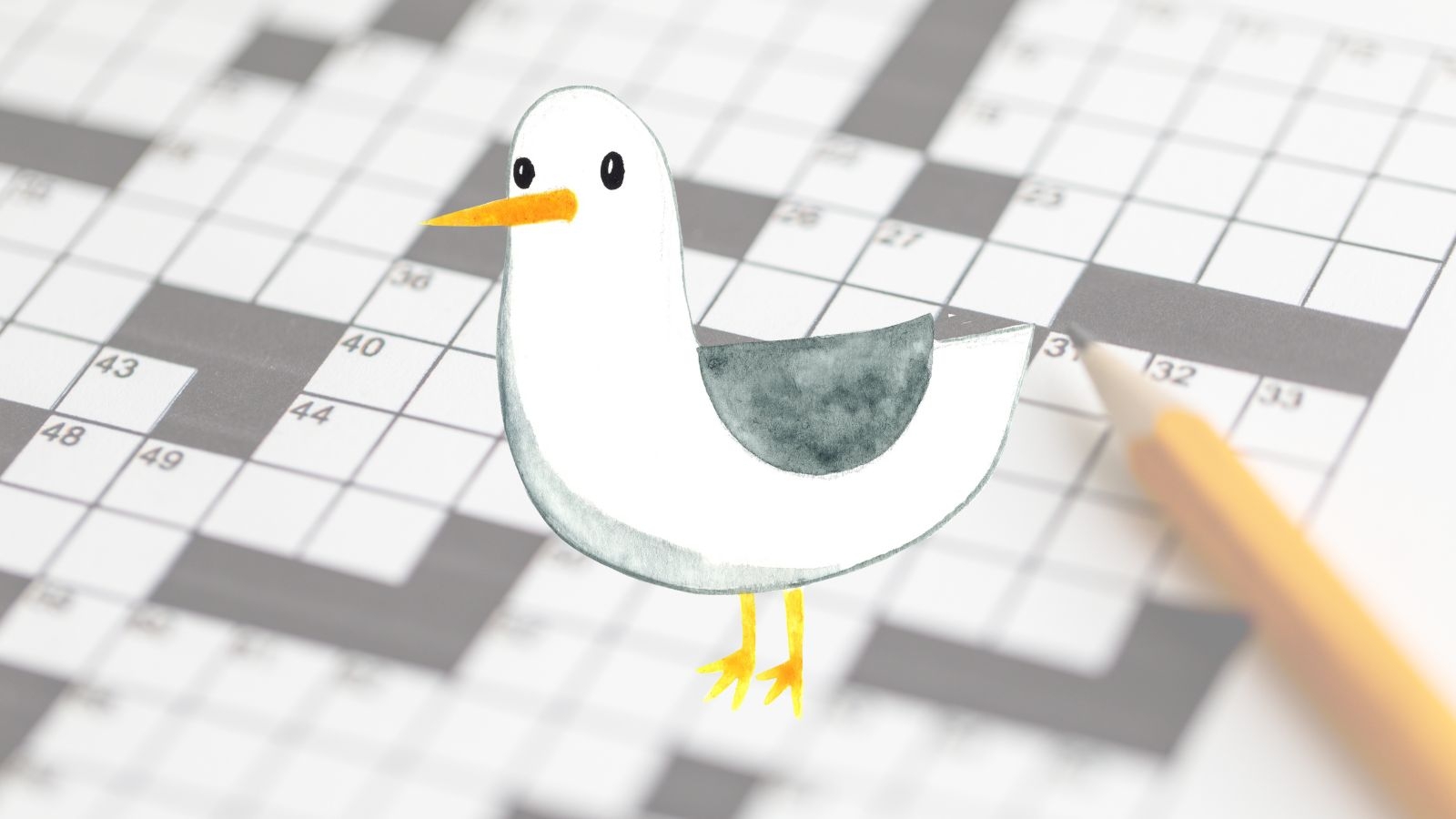 diving bird crossword clue