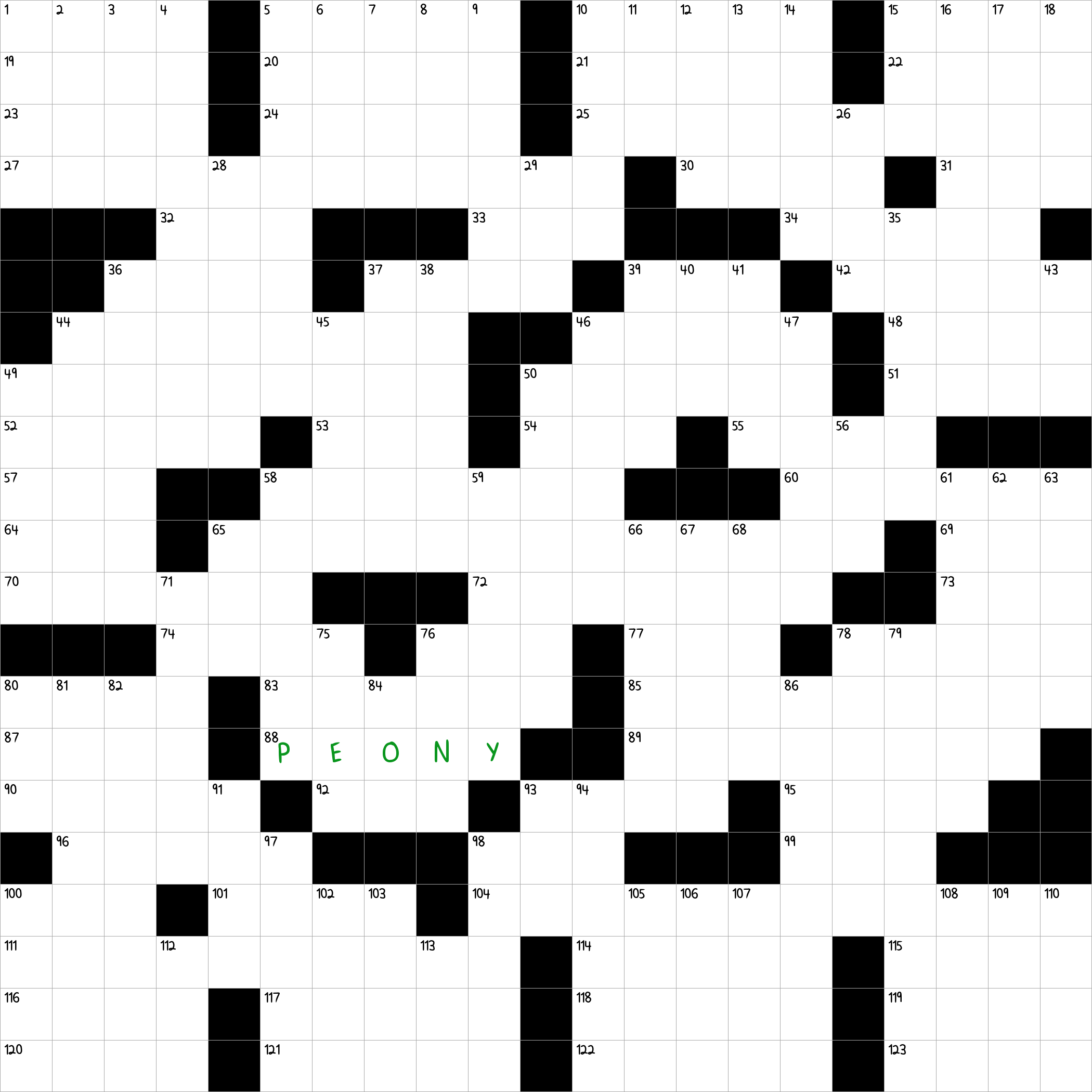 Showy Garden Flower NYT Crossword Clue