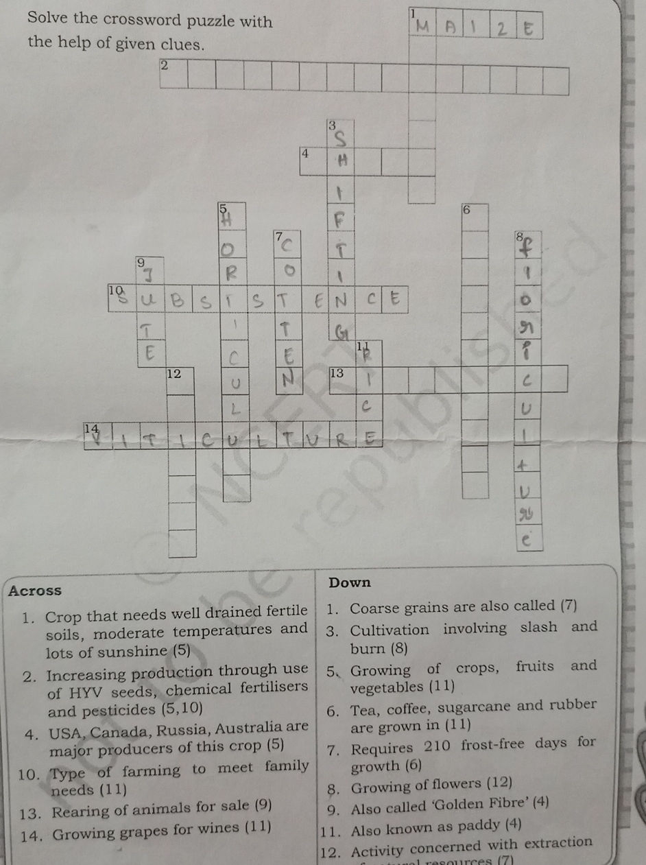 Solve The Crossword Puzzle With The Help Of StudyX