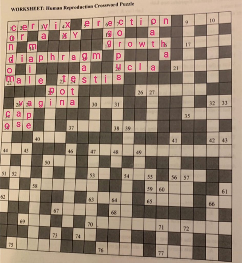 Solved WORKSHEET Human Reproduction Crossword Puzzle 10 Igo Chegg