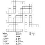 Spanish Crossword Fill In The Crossword With The Spanish Word That Identifies Each Body Part WordMint