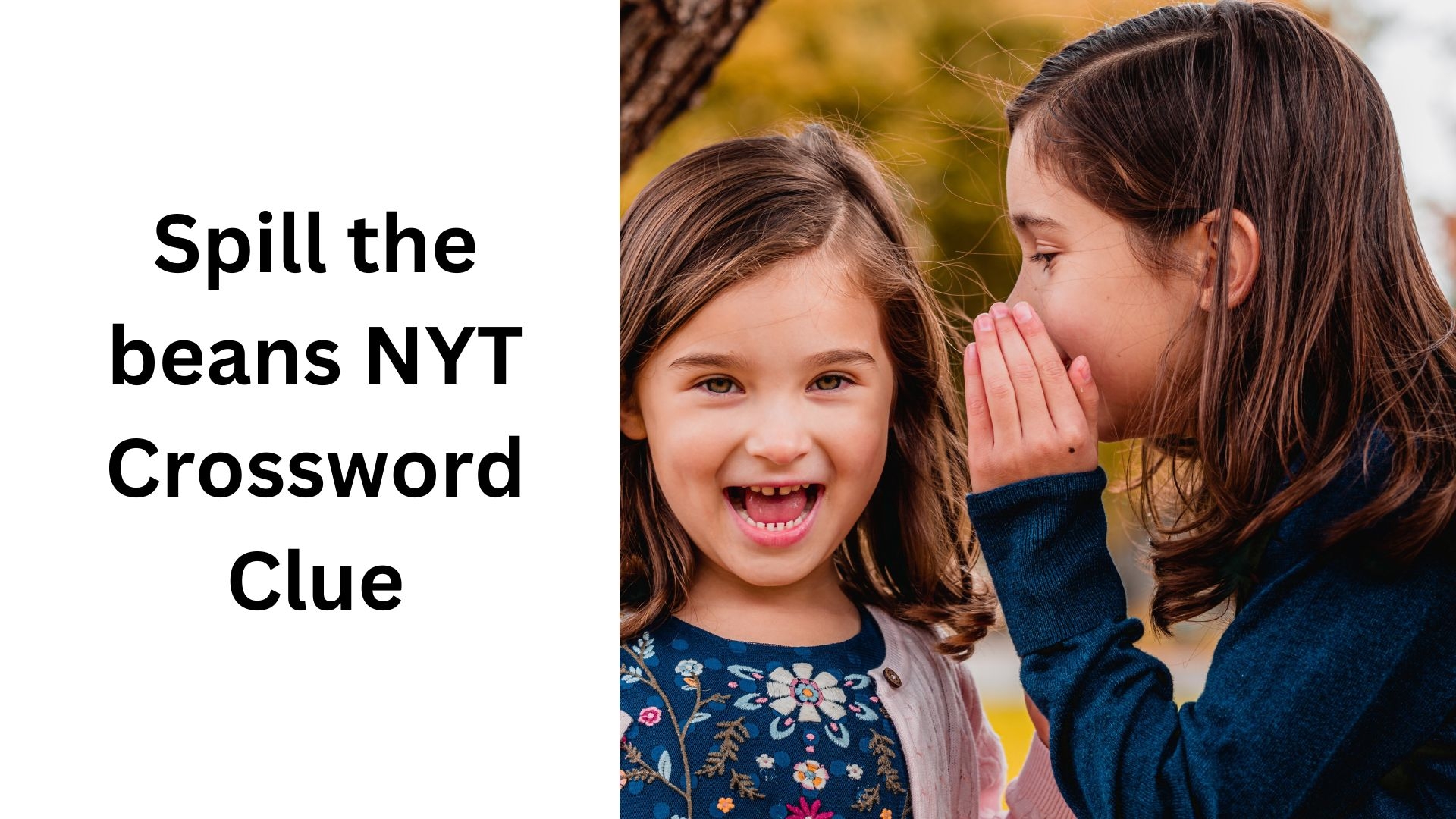 Spill The Beans NYT Crossword Clue