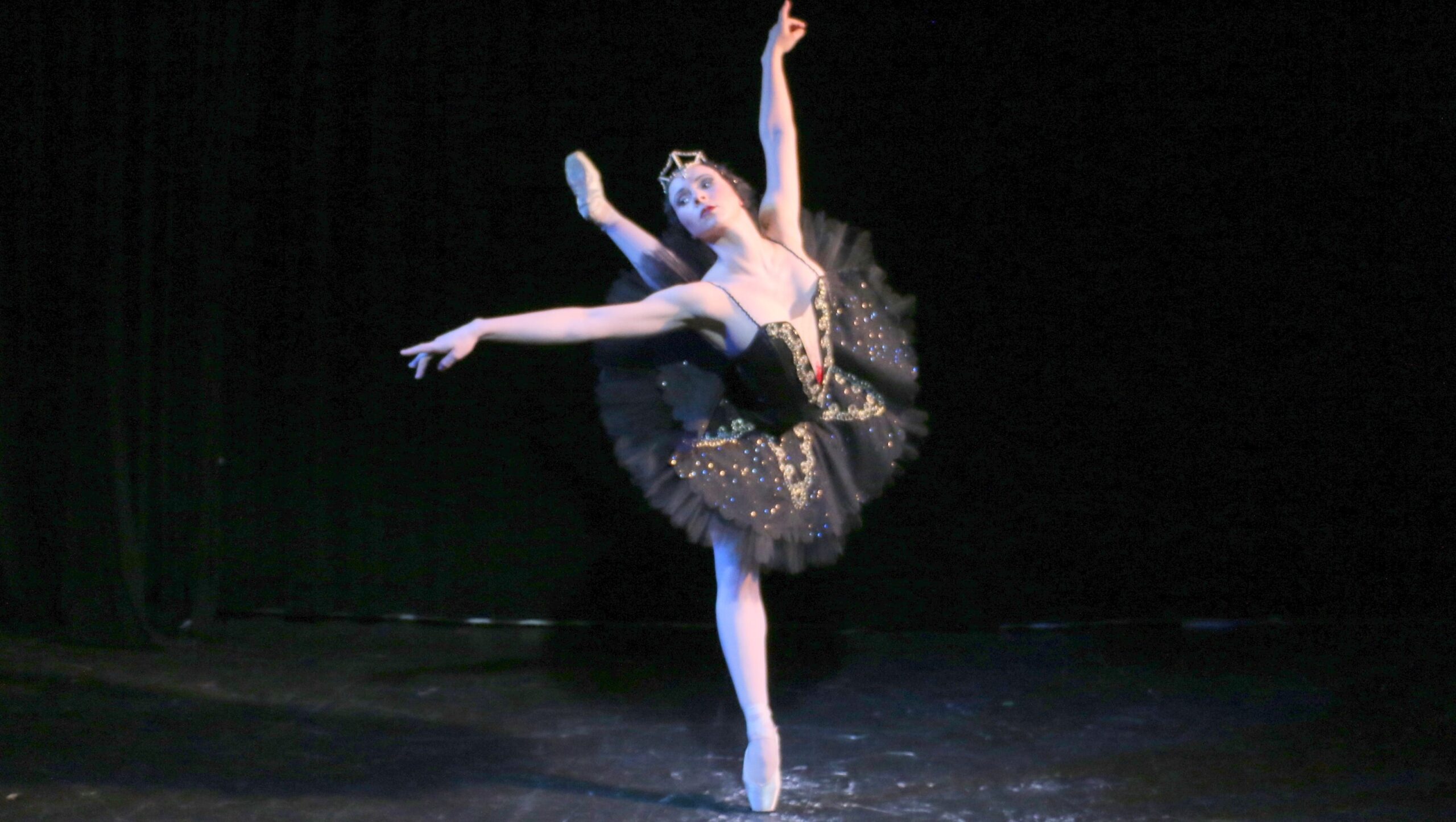 Swan Lake For Dummies And Happy People