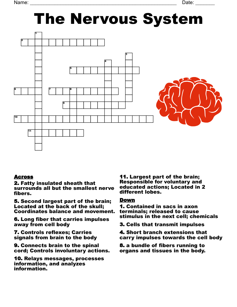 The Brain Crossword WordMint