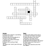 The Eye Crossword WordMint