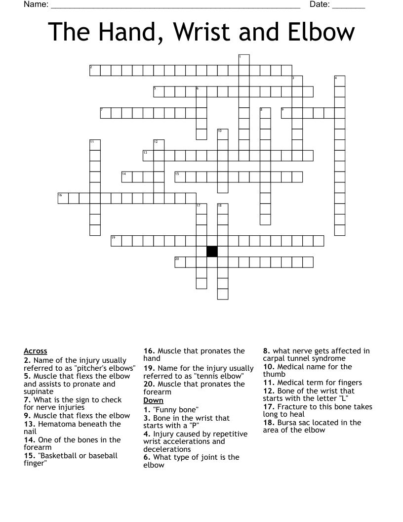 The Hand Wrist And Elbow Crossword WordMint