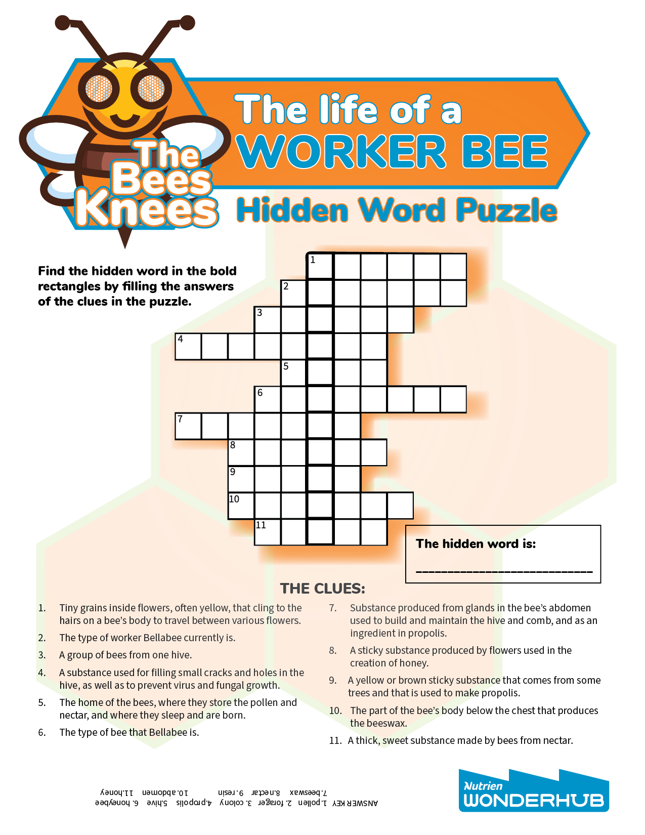 The Life Of A Worker Bee Wonderhub