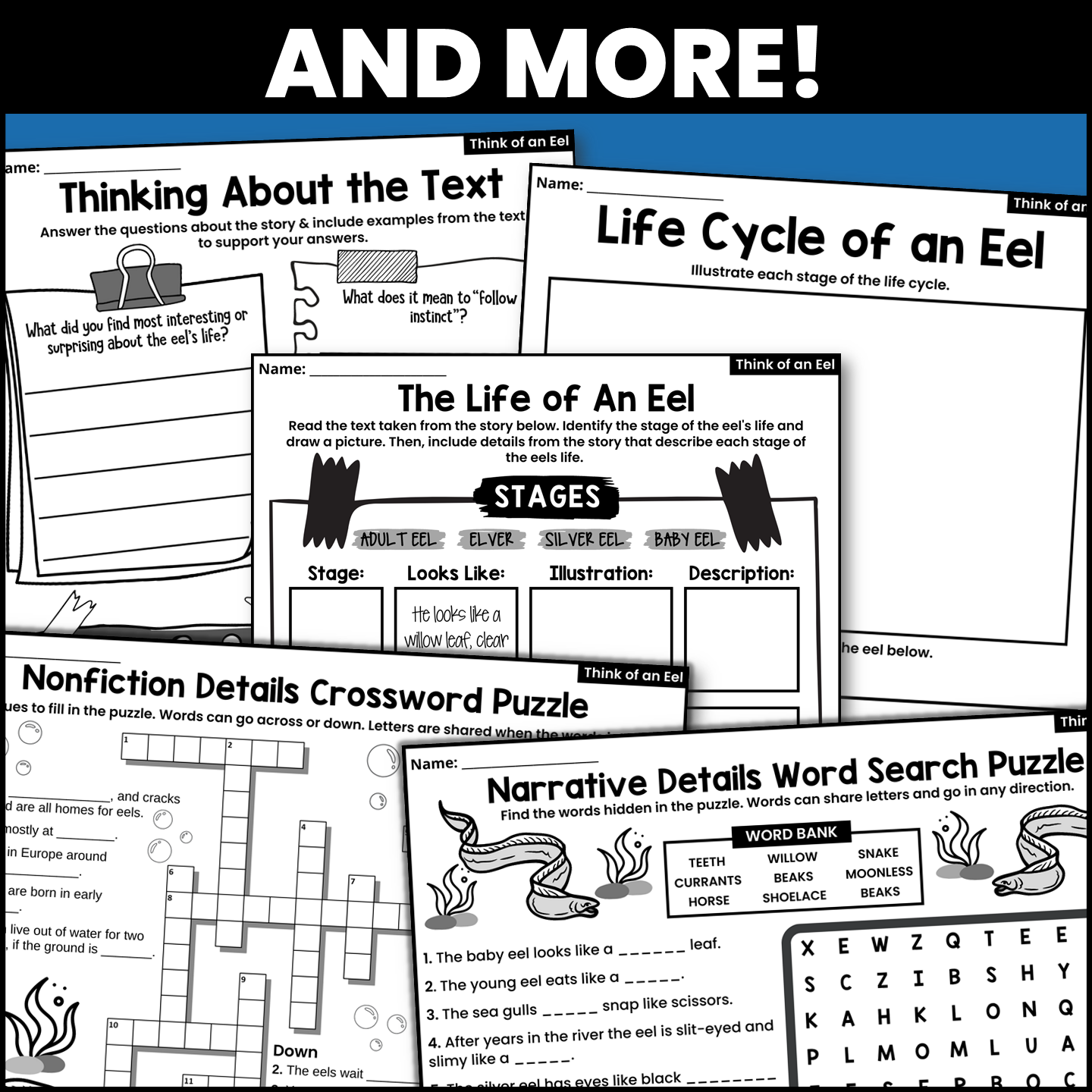 Think Of An Eel Read Aloud Book Companion Activities For IRA Made By Teachers