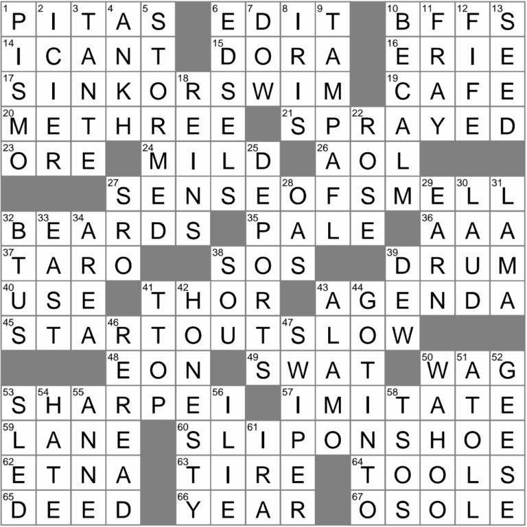 Totally Agree With You Both Crossword Clue Archives LAXCrossword