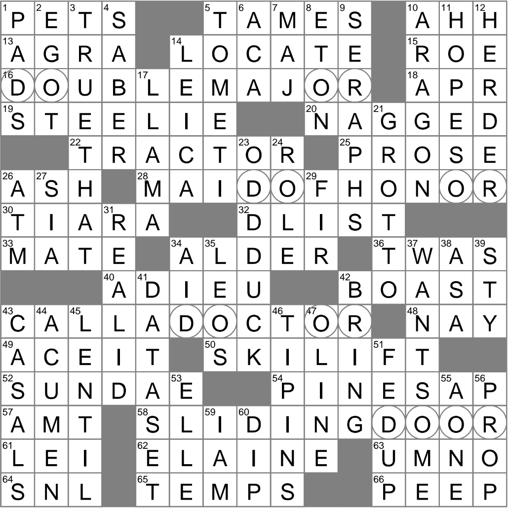 evergreen tree crossword clue evergreen tree crossword clue
