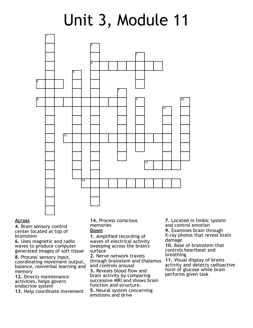 Unit 3 Module 11 Crossword WordMint