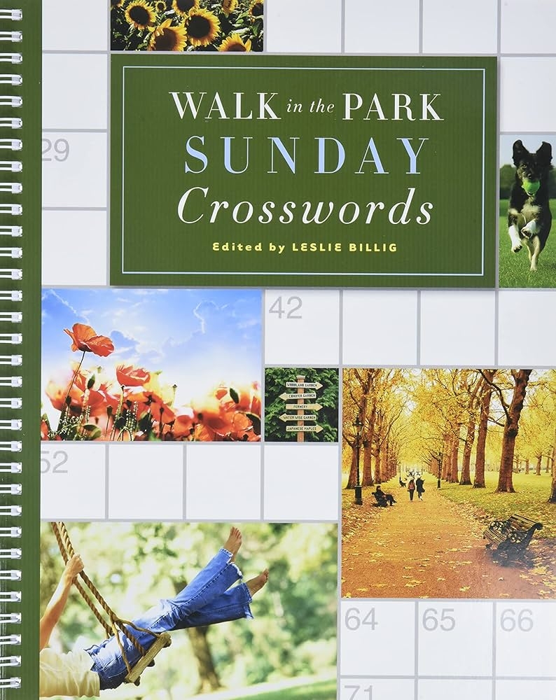 catch sight of crossword clue