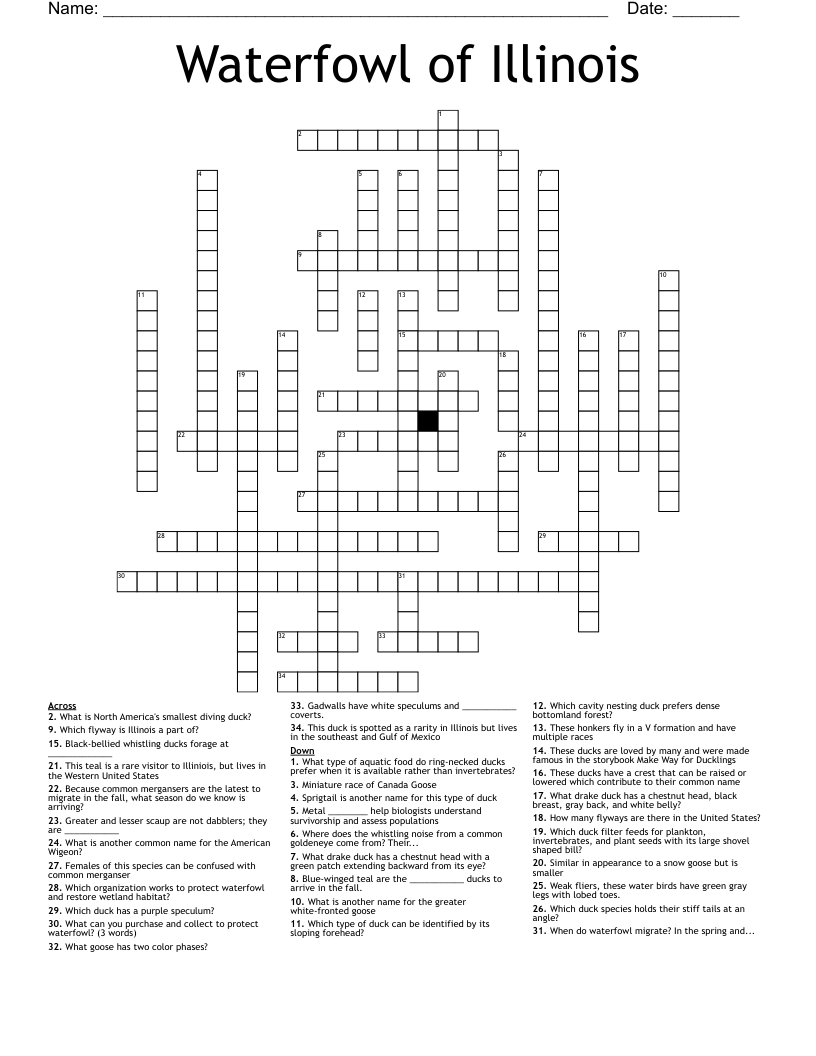 Waterfowl Of Illinois Crossword WordMint