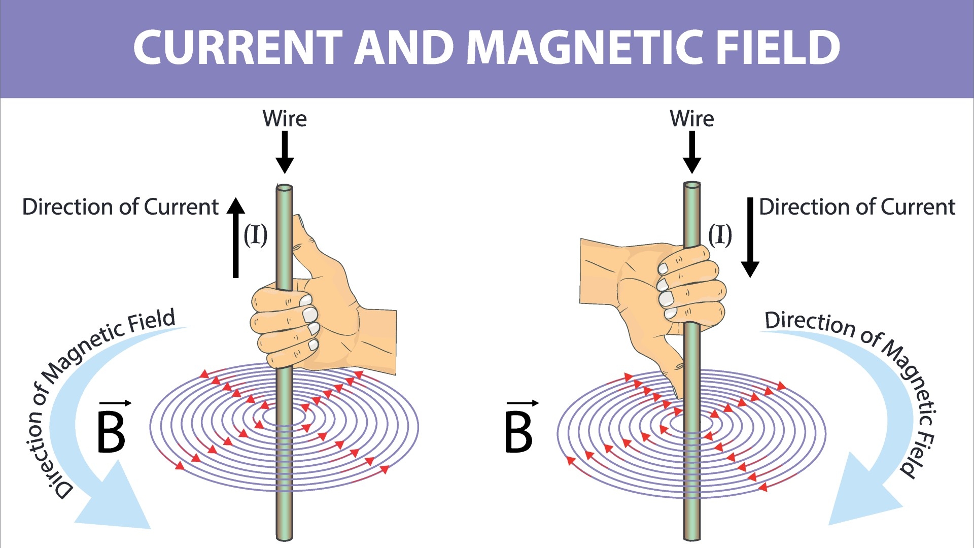 unit of magnetic induction crossword clue