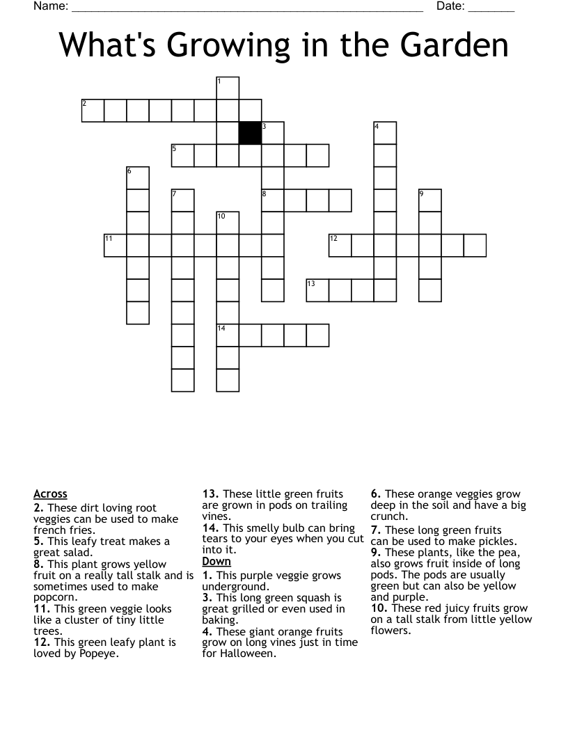 What s Growing In The Garden Crossword WordMint