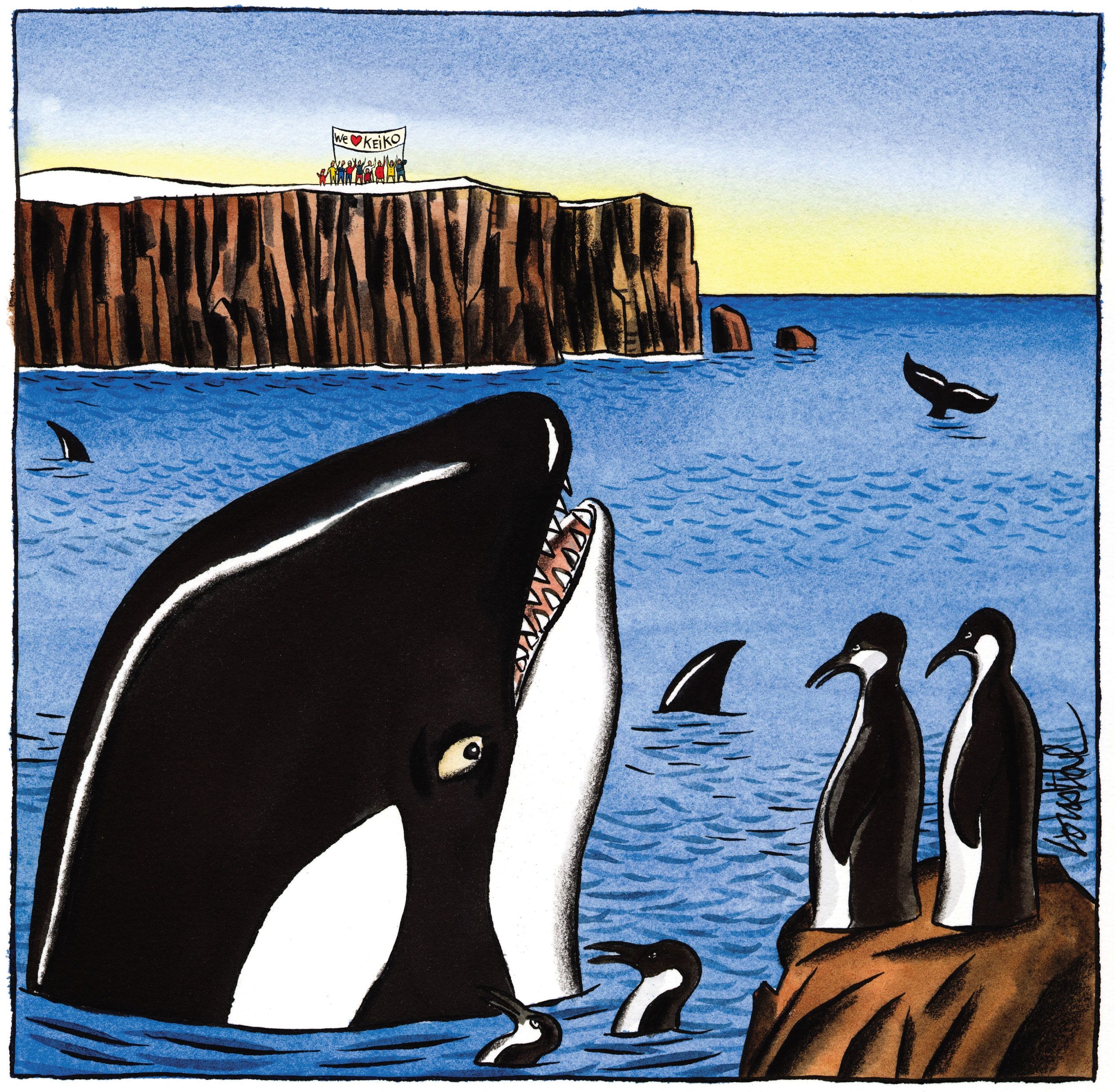 Where s Willy The New Yorker