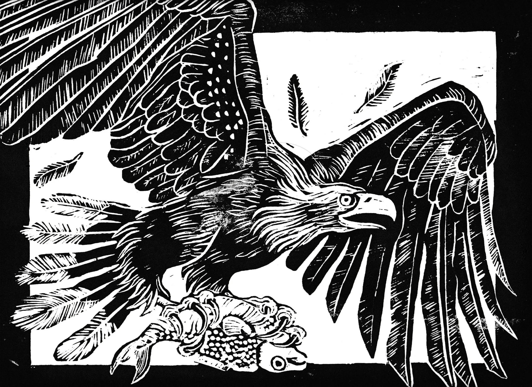 White Tailed Sea Eagle Crossword