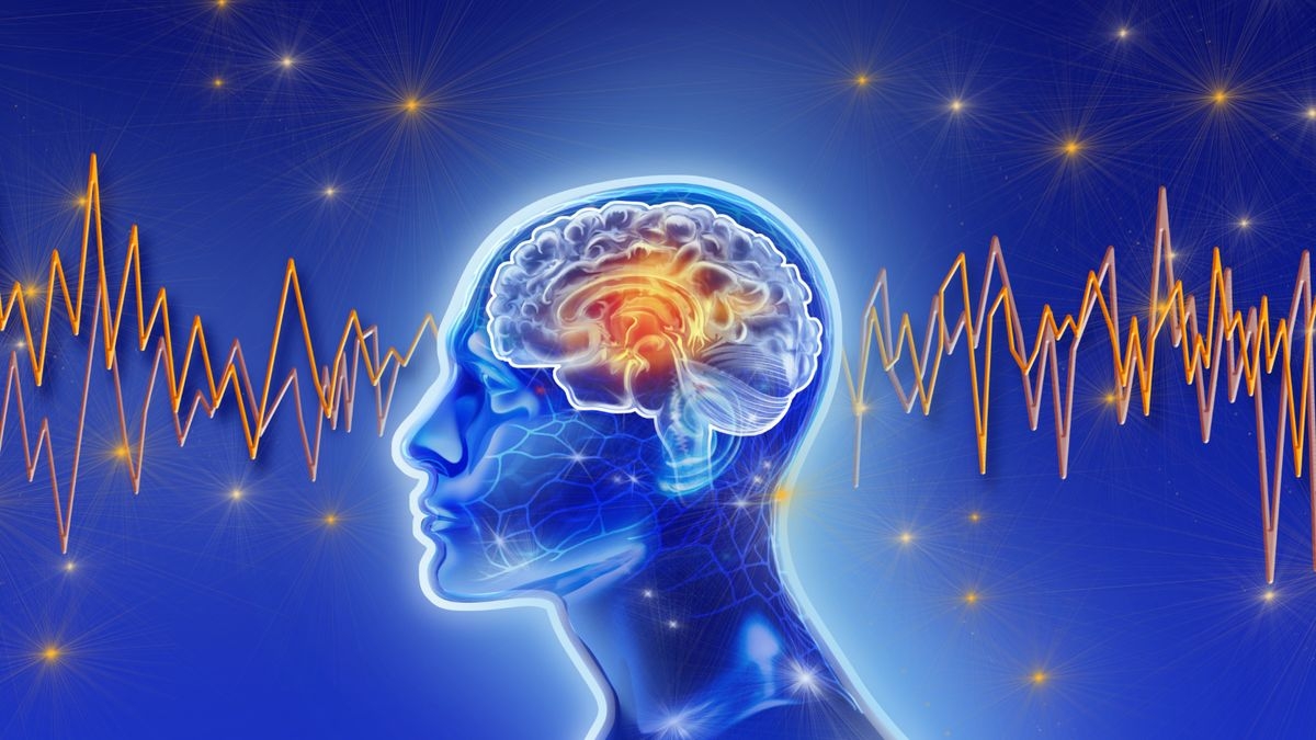 Why Does Your Mind Goes blank New Brain Scans Reveal The Surprising Answer Live Science