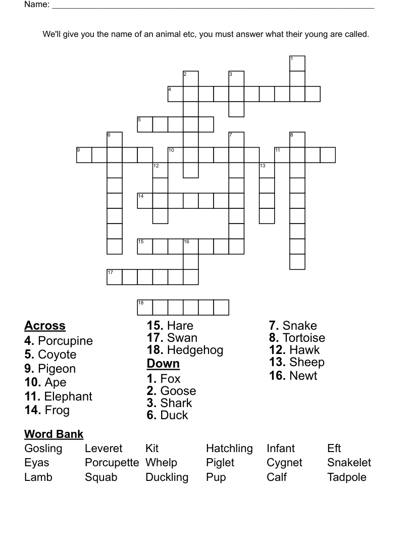 young newt crossword clue
