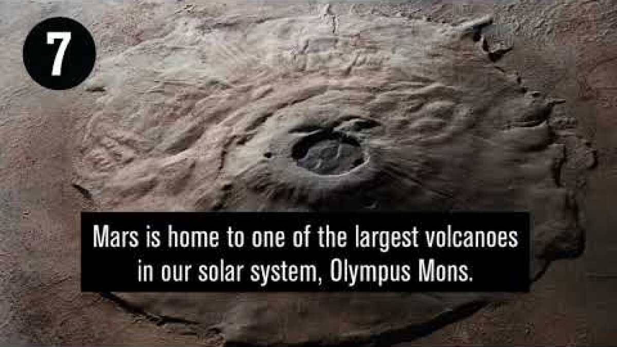 home of olympus mons crossword clue