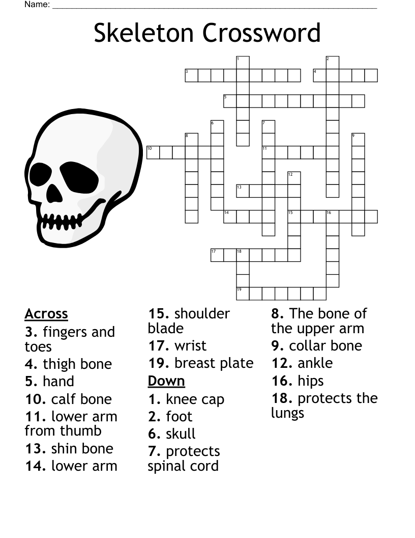 Bones Bones More Bones Crossword WordMint