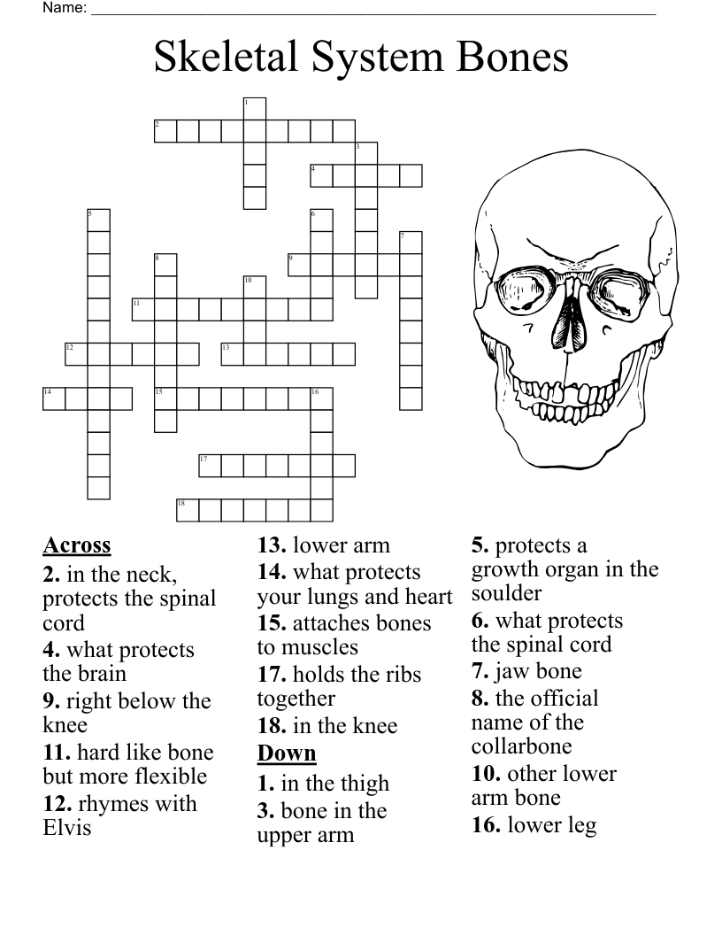 Bones Crossword WordMint