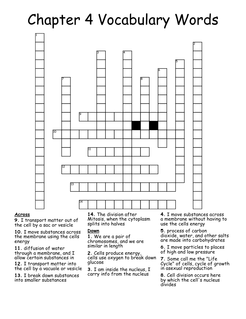 Chapter 4 Vocabulary Words Crossword WordMint