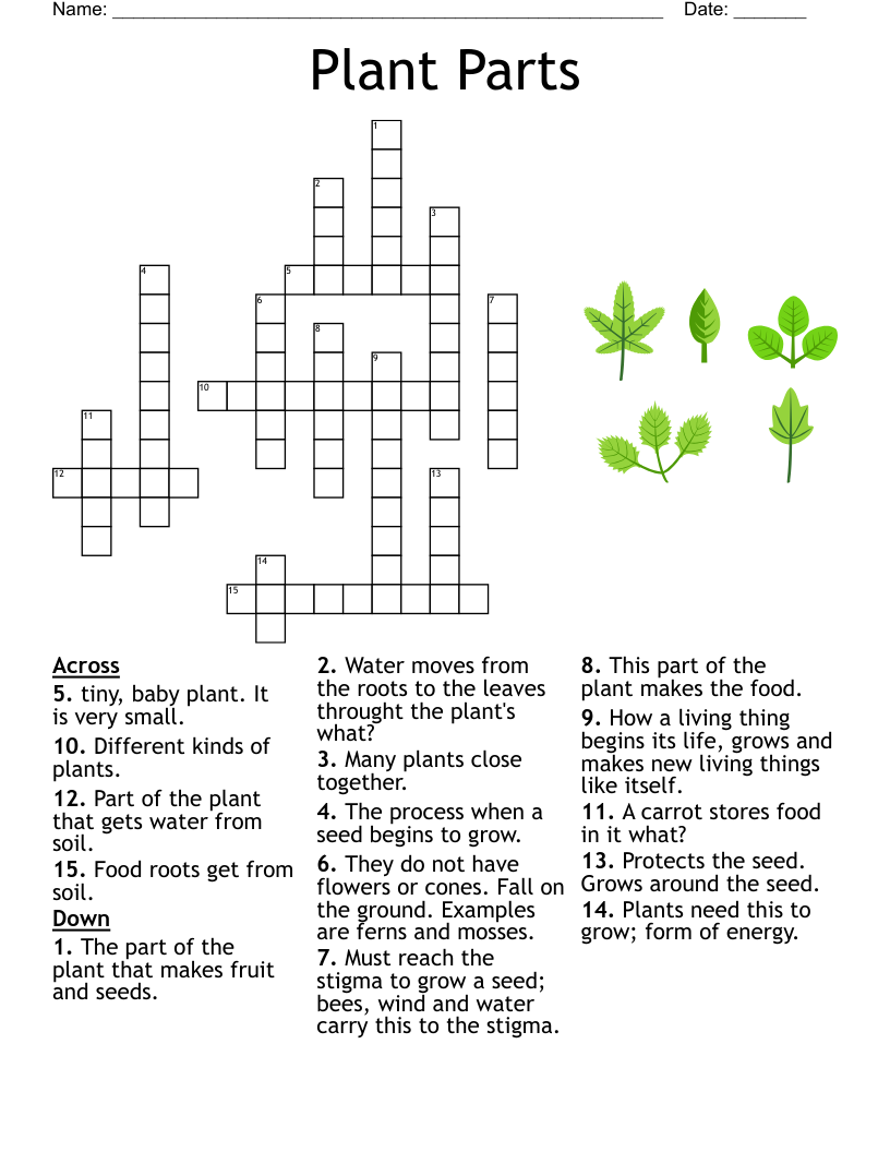 Floating Flora Crossword WordMint Floating Flora Crossword WordMint