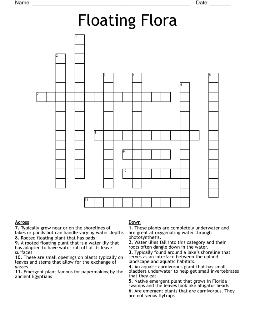 Floating Flora Crossword WordMint Floating Flora Crossword WordMint