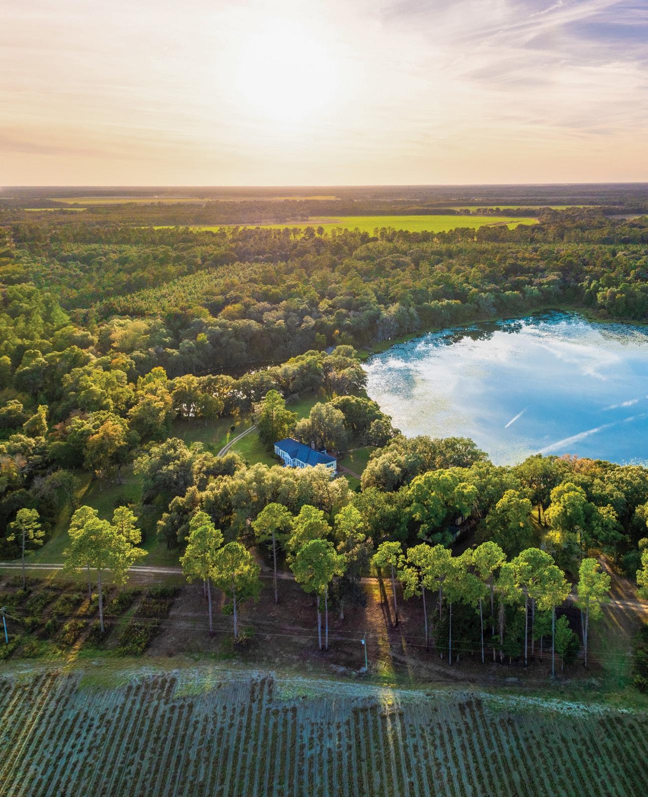 Madison Magazine Winter 2026 By Madison The Magazine Of James Madison University Issuu