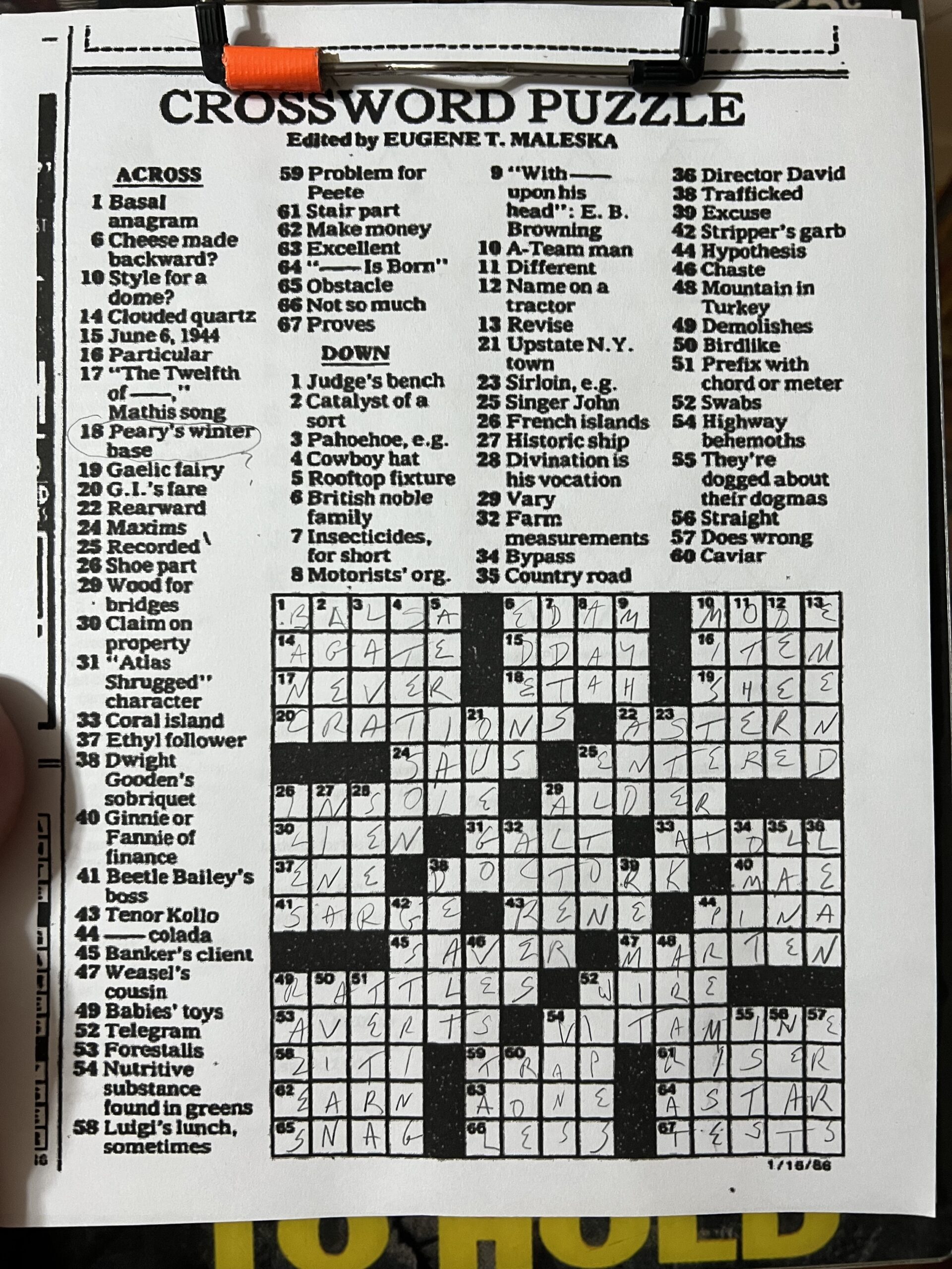 some faux coats crossword clue